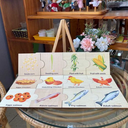 Bộ đồ chơi Vòng đời động thực vật LC02 Animal and Plant Life Cycle Toy Set LC02