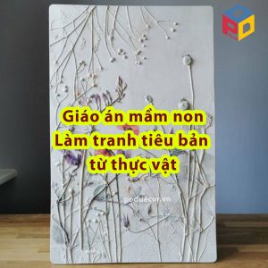 Giáo án mầm non làm tranh tiêu bản từ thực vật