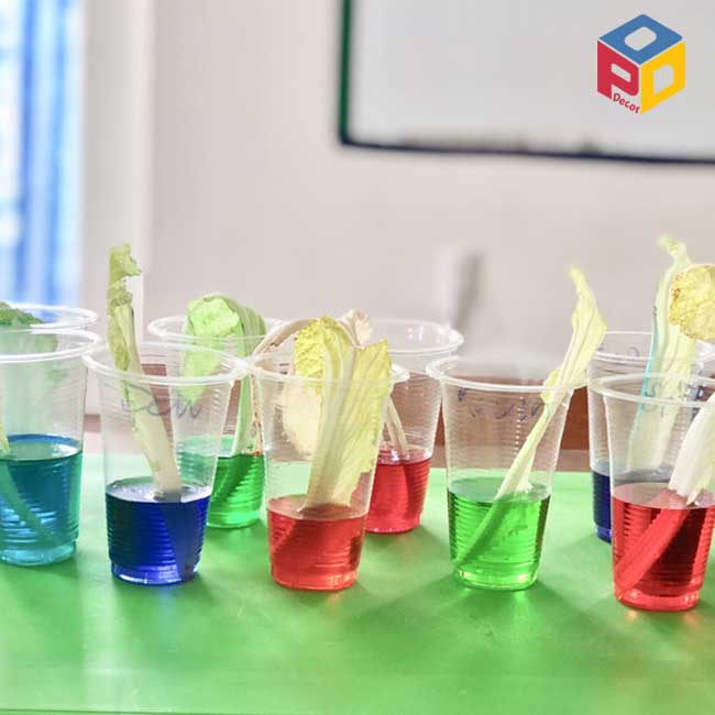 Bộ thí nghiệm khoa học đơn giản bằng cốc nhựa và nước si rô Bộ thí nghiệm khoa học đơn giản bằng cốc nhựa và nước si rô