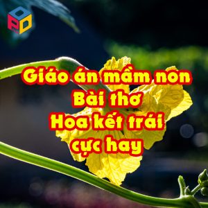 Giáo án bài thơ Hoa kết trái