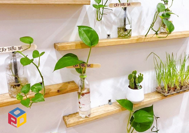 Góc trồng cây