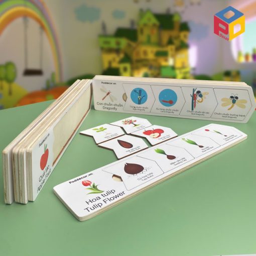 Giáo cụ Vòng đời sinh trưởng động thực vật LC03