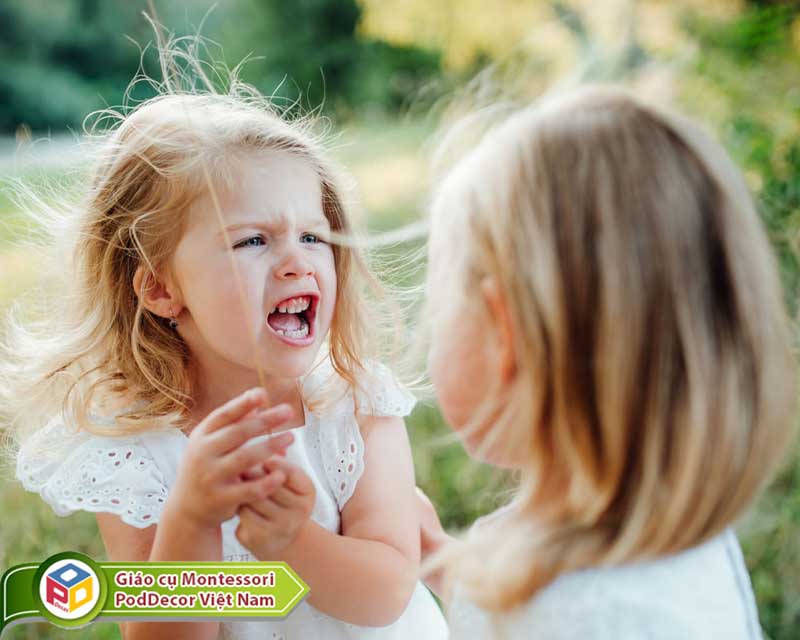 Dạy trẻ cách diễn đạt cảm xúc bằng lời nói