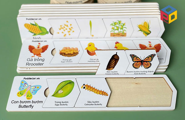 Học cụ Vòng đời phát triển của bướm dành cho trẻ thực hành