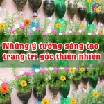 Những ý tưởng sáng tạo trang trí góc thiên nhiên mầm non