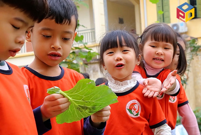 Trải nghiệm đa dạng giúp trẻ phát triển ngôn ngữ phong phú