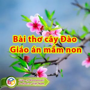 Bài thơ cây Đào - Giáo án trẻ mầm non 4 5 tuổi