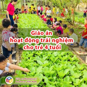 Giáo án hoạt động trải nghiệm cho trẻ 4 tuổi