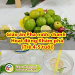 Pha nước chanh Giáo án Hoạt động Khám phá (Trẻ 4-5 tuổi)