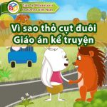 Vì sao thỏ cụt đuôi Giáo án kể chuyện mầm non