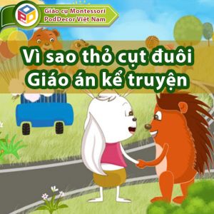 Vì sao thỏ cụt đuôi Giáo án kể chuyện mầm non
