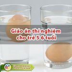 Giáo án thí nghiệm cho trẻ 5 6 tuổi