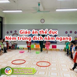 Giáo án Ném trúng đích nằm ngang