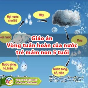 Giáo án Vòng tuần hoàn của nước trẻ mầm non 5 tuổi