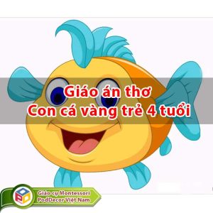 Giáo án thơ Con cá vàng trẻ 4 tuổi