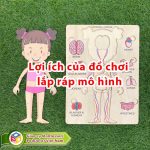 Lợi ích của đồ chơi lắp ráp mô hình