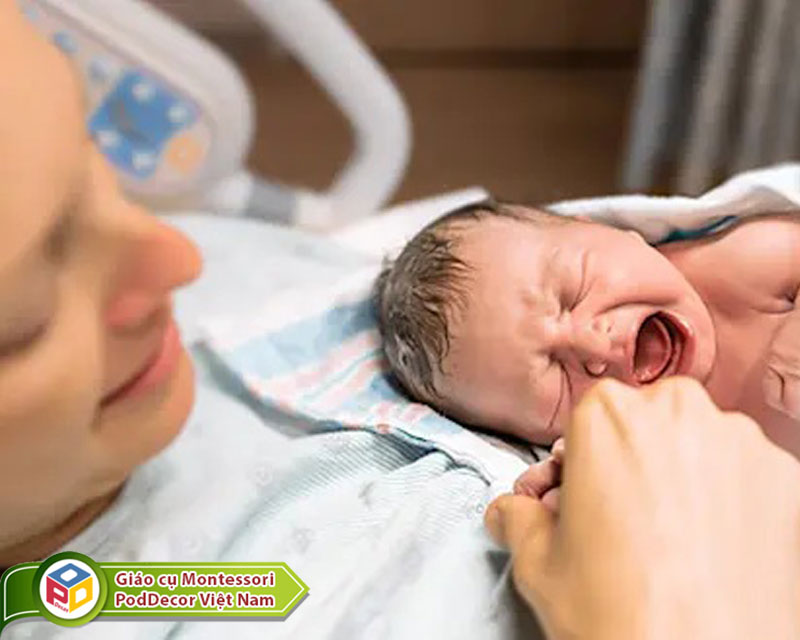 Khi mới chào đời, trẻ đã bắt đầu phản ứng với âm thanh; ngôn ngữ;
